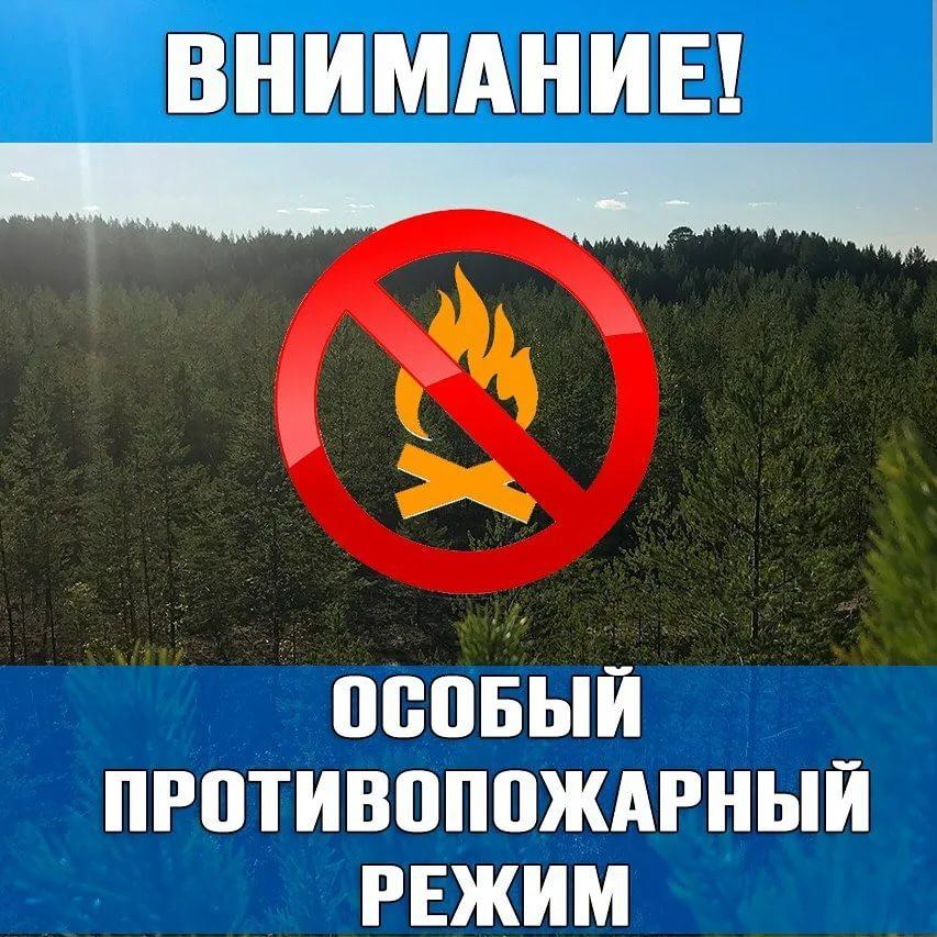 Установление противопожарного режима.